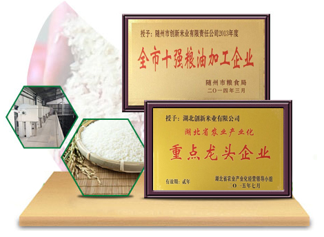湖北巴司特科技股份有限公司